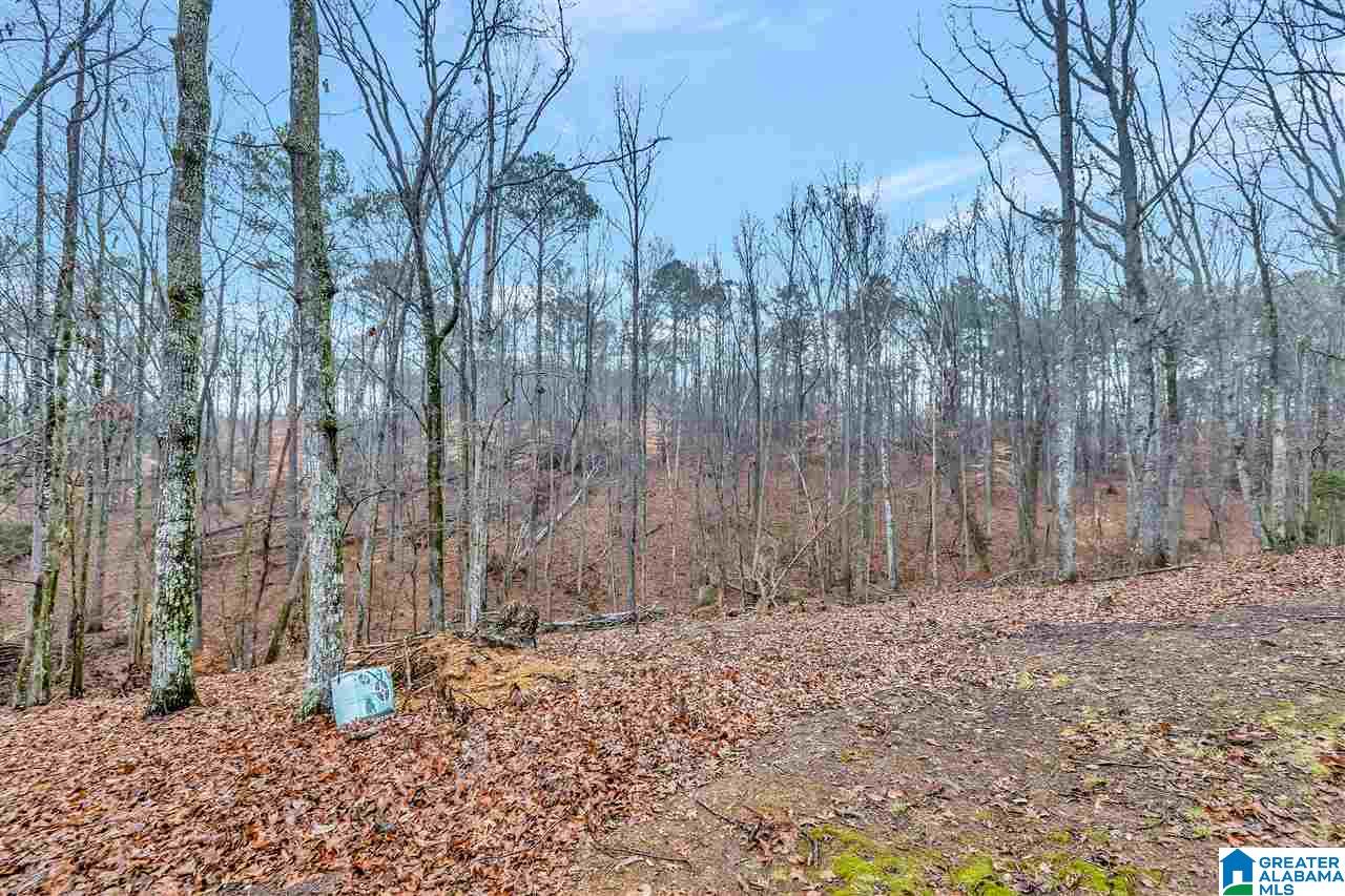89 Walden Road Columbiana, AL 35051 - Photo 40 of 41