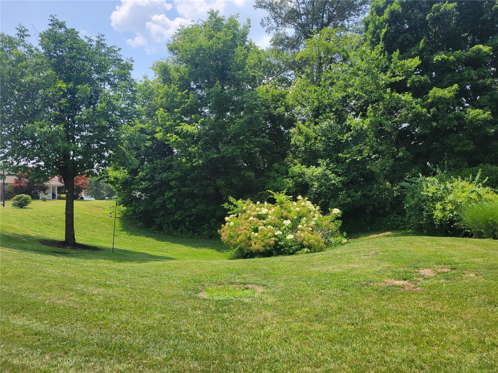 109 North Meyer Avenue Valmeyer, IL 62295 - Photo 38 of 39