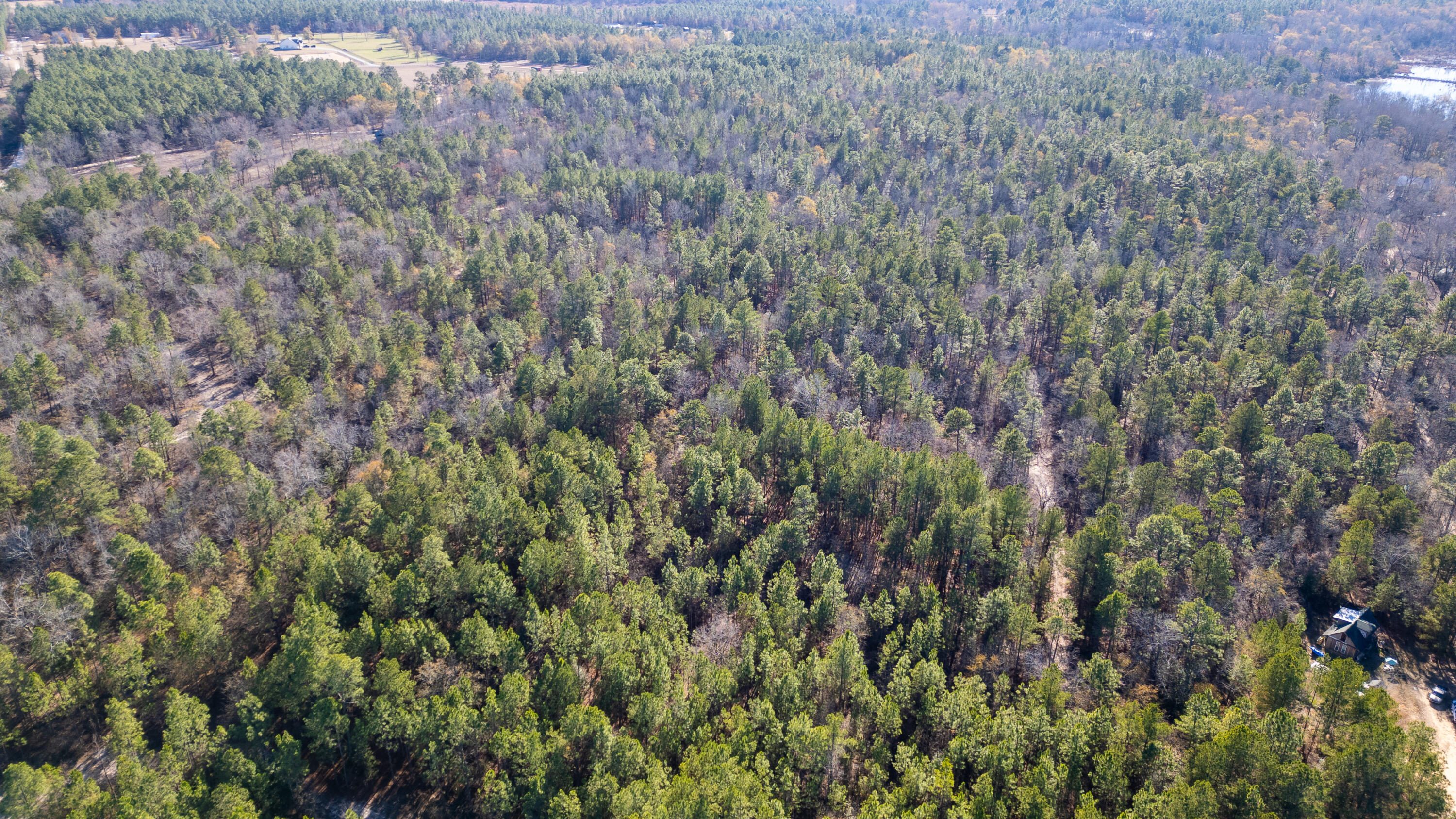1424 Hatchaway Bridge Road Aiken, SC 29801 - Photo 8 of 9 Gallery Image 8