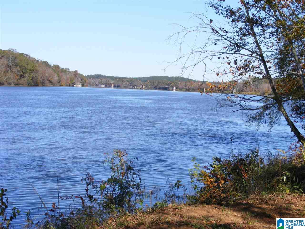 8229 McGowans Ferry Road Childersburg, AL 35044 - Photo 5 of 7