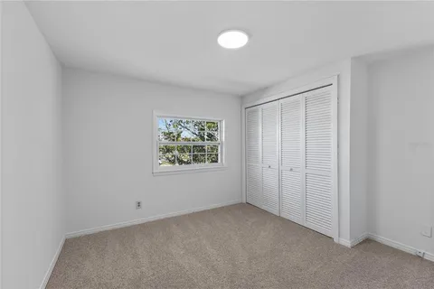 a view of a backyard with plants