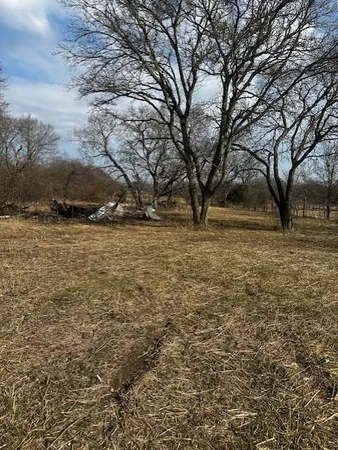 a view of yard with trees