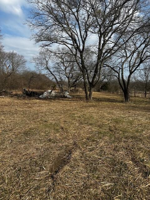 320 Ford Street Bells, TX 75414 - Photo 1 of 6 a view of yard with trees