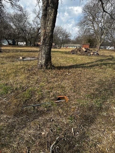 320 Ford Street Bells, TX 75414 - Photo 6 of 6 a view of a yard with large trees