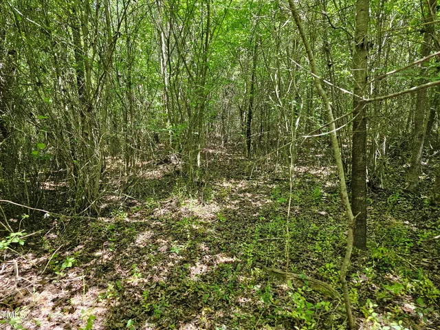 $300,000 | 0 Alert Road, Warrenton, NC 27589