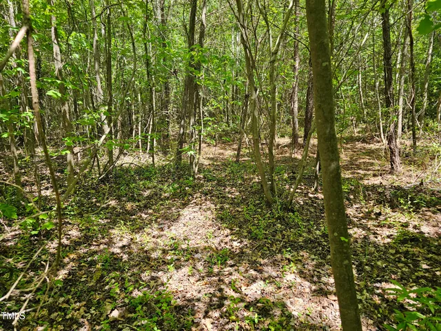 $300,000 | 0 Alert Road, Warrenton, NC 27589