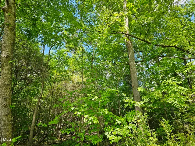 $300,000 | 0 Alert Road, Warrenton, NC 27589