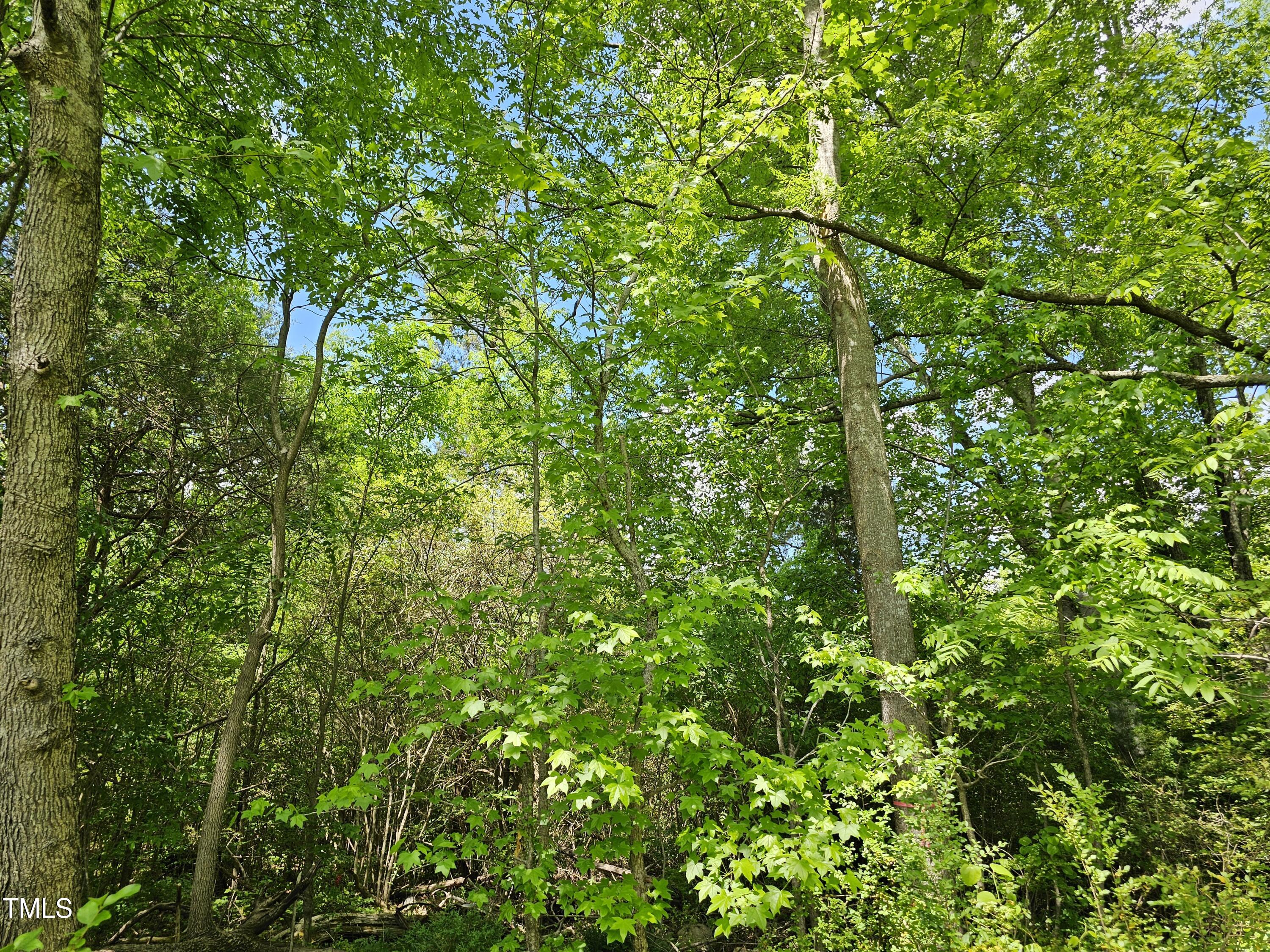 0 Alert Road Warrenton, NC 27589 - Photo 15 of 35 Alert Rd 5