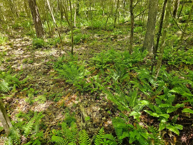 $300,000 | 0 Alert Road, Warrenton, NC 27589