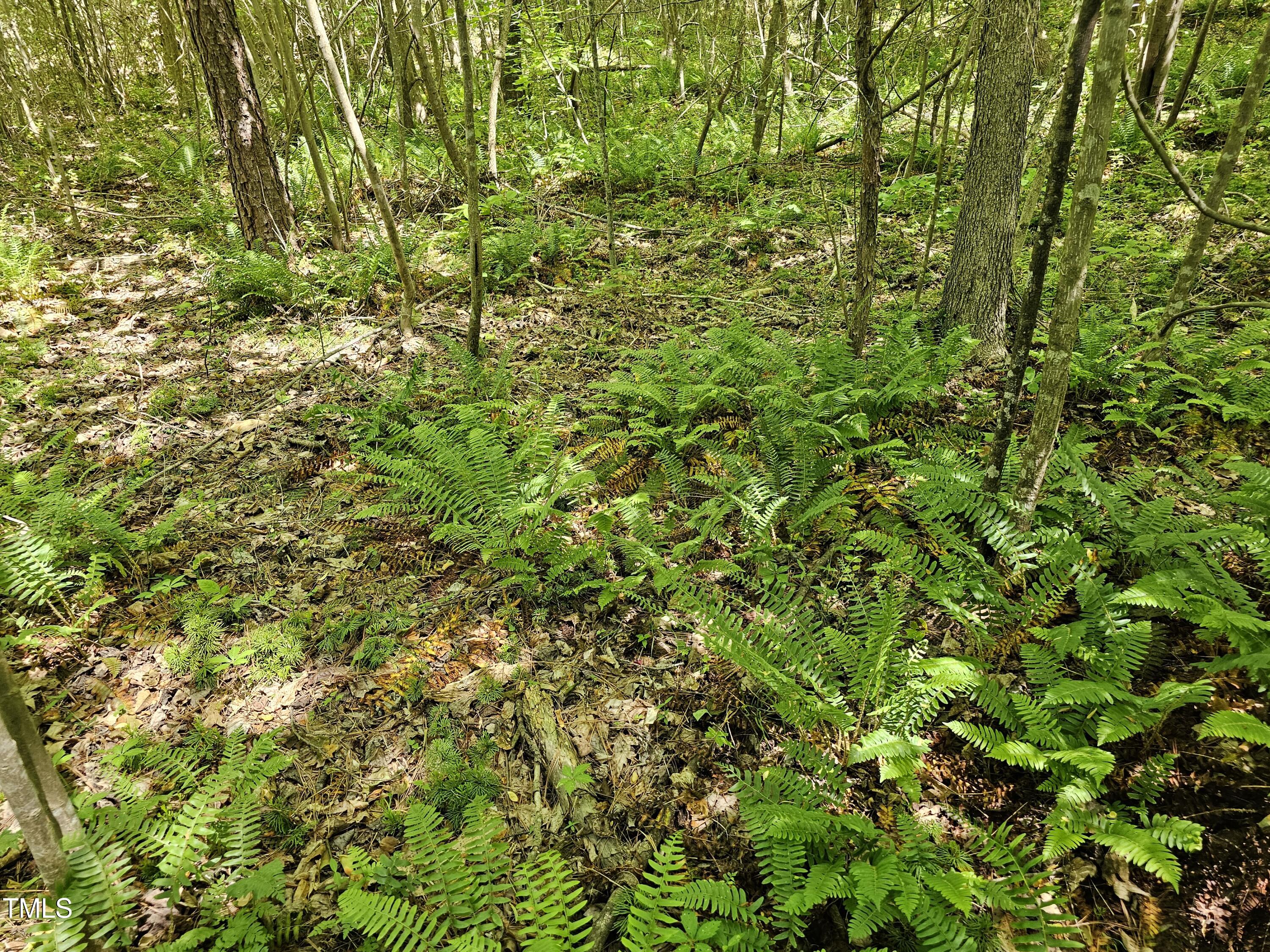 0 Alert Road Warrenton, NC 27589 - Photo 16 of 35 Alert Rd 6