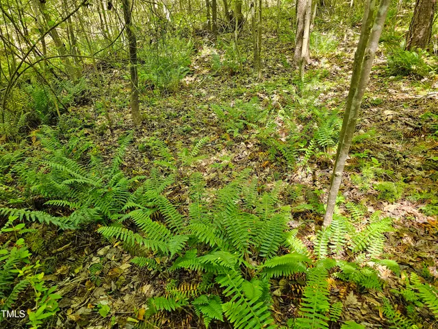 $300,000 | 0 Alert Road, Warrenton, NC 27589