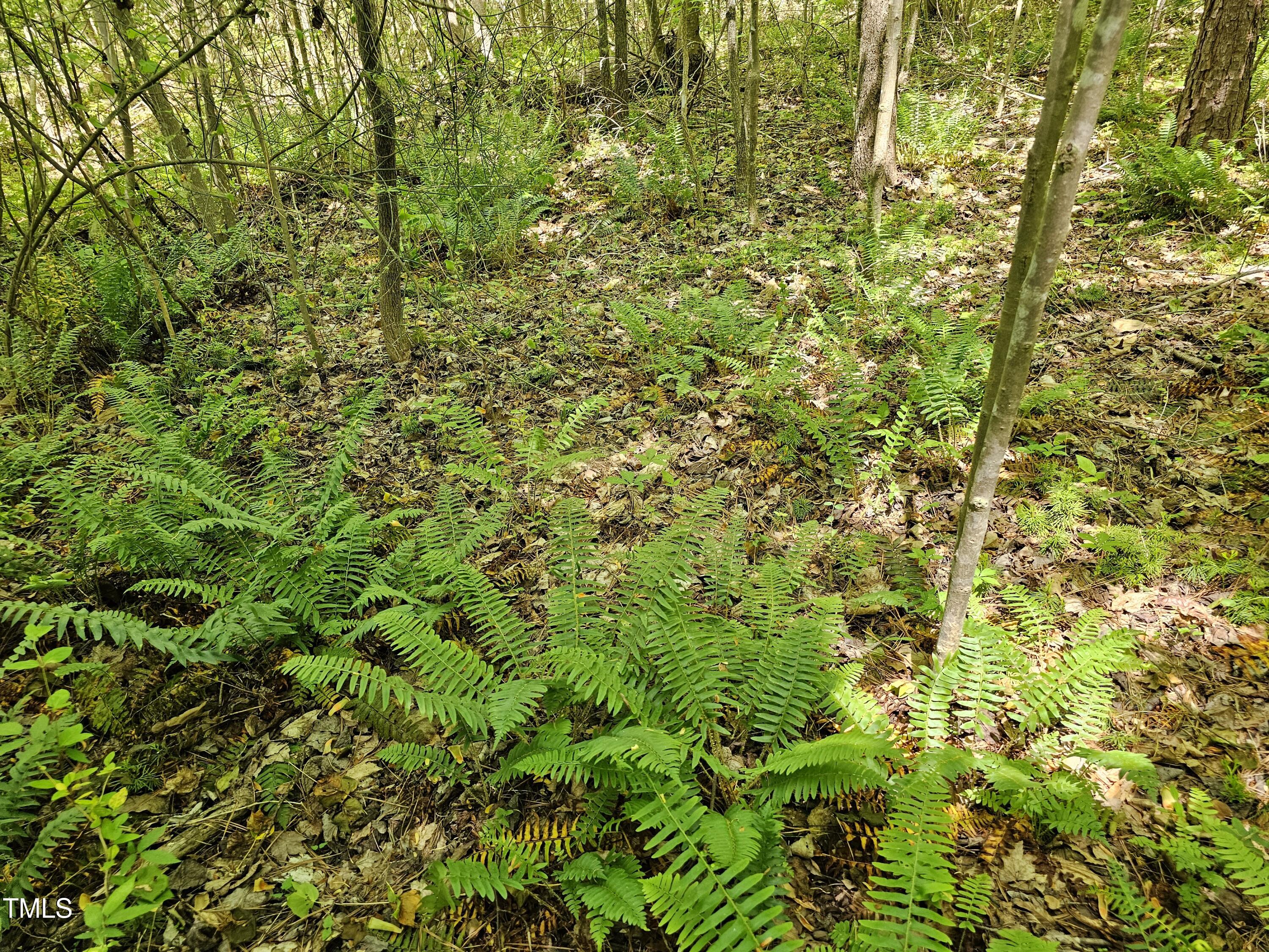 0 Alert Road Warrenton, NC 27589 - Photo 17 of 35 Alert Rd 7