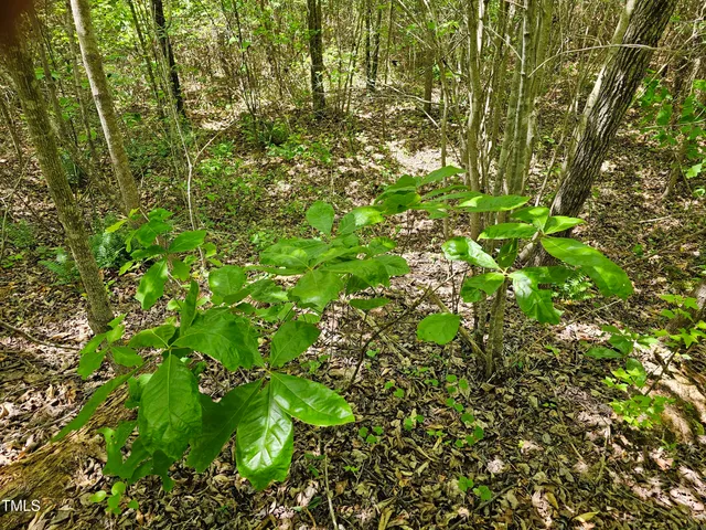 $300,000 | 0 Alert Road, Warrenton, NC 27589