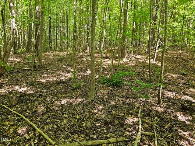 $300,000 | 0 Alert Road, Warrenton, NC 27589