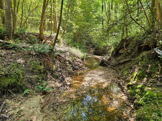 $300,000 | 0 Alert Road, Warrenton, NC 27589