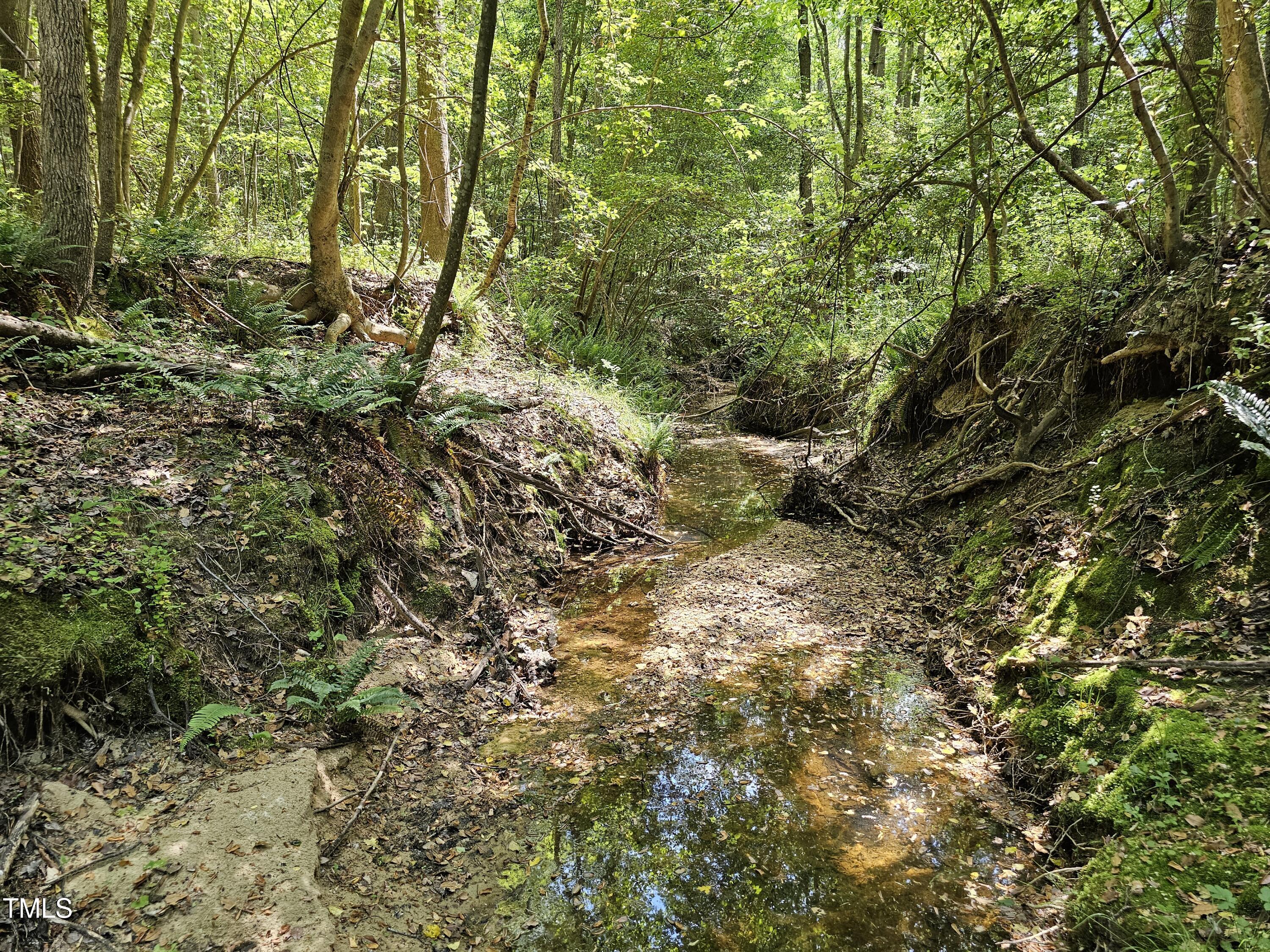 0 Alert Road Warrenton, NC 27589 - Photo 20 of 35 Alert Rd 10