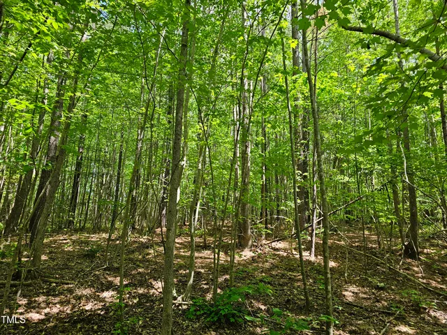 $300,000 | 0 Alert Road, Warrenton, NC 27589