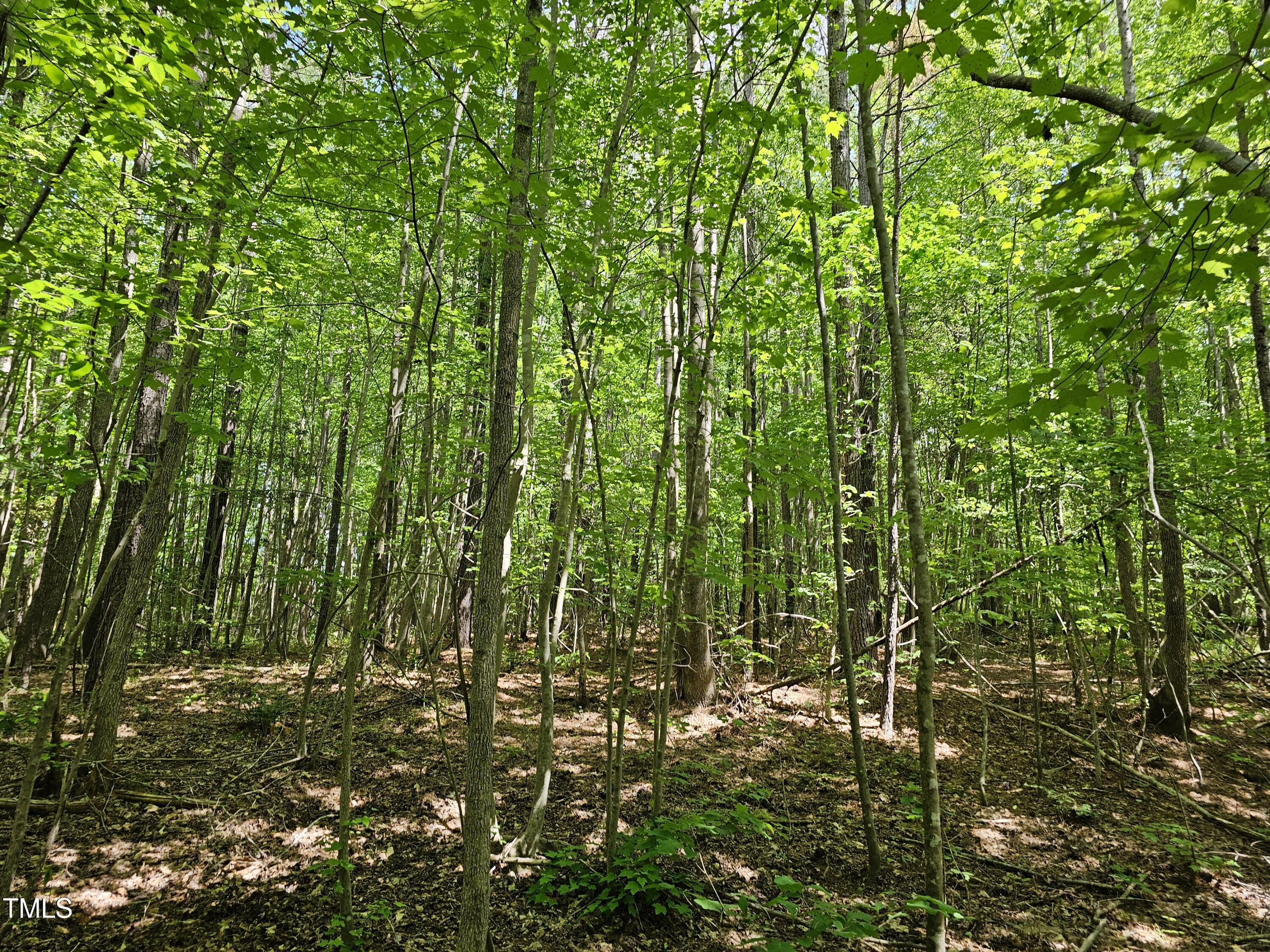 0 Alert Road Warrenton, NC 27589 - Photo 22 of 35 Alert Rd 12