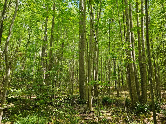 $300,000 | 0 Alert Road, Warrenton, NC 27589