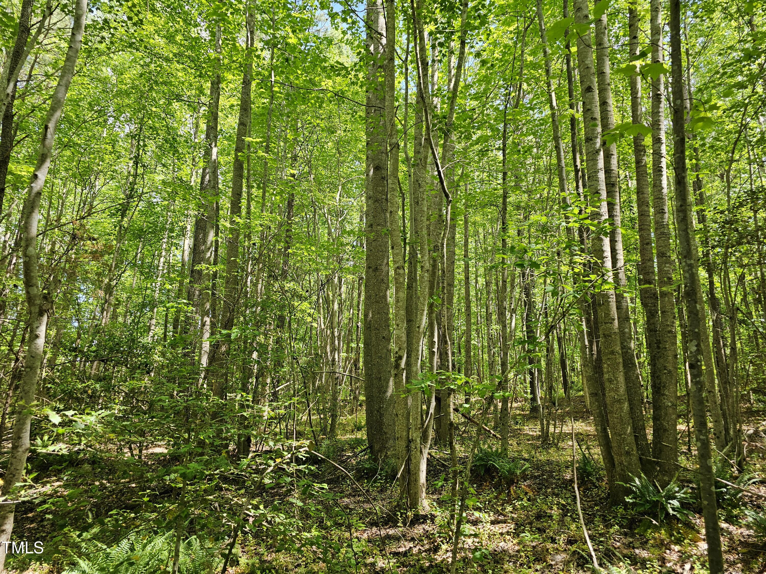 0 Alert Road Warrenton, NC 27589 - Photo 23 of 35 Alert Rd 13
