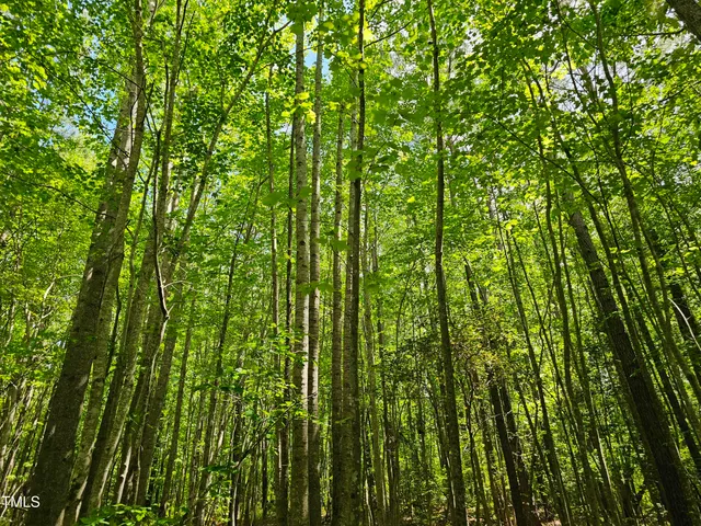 $300,000 | 0 Alert Road, Warrenton, NC 27589