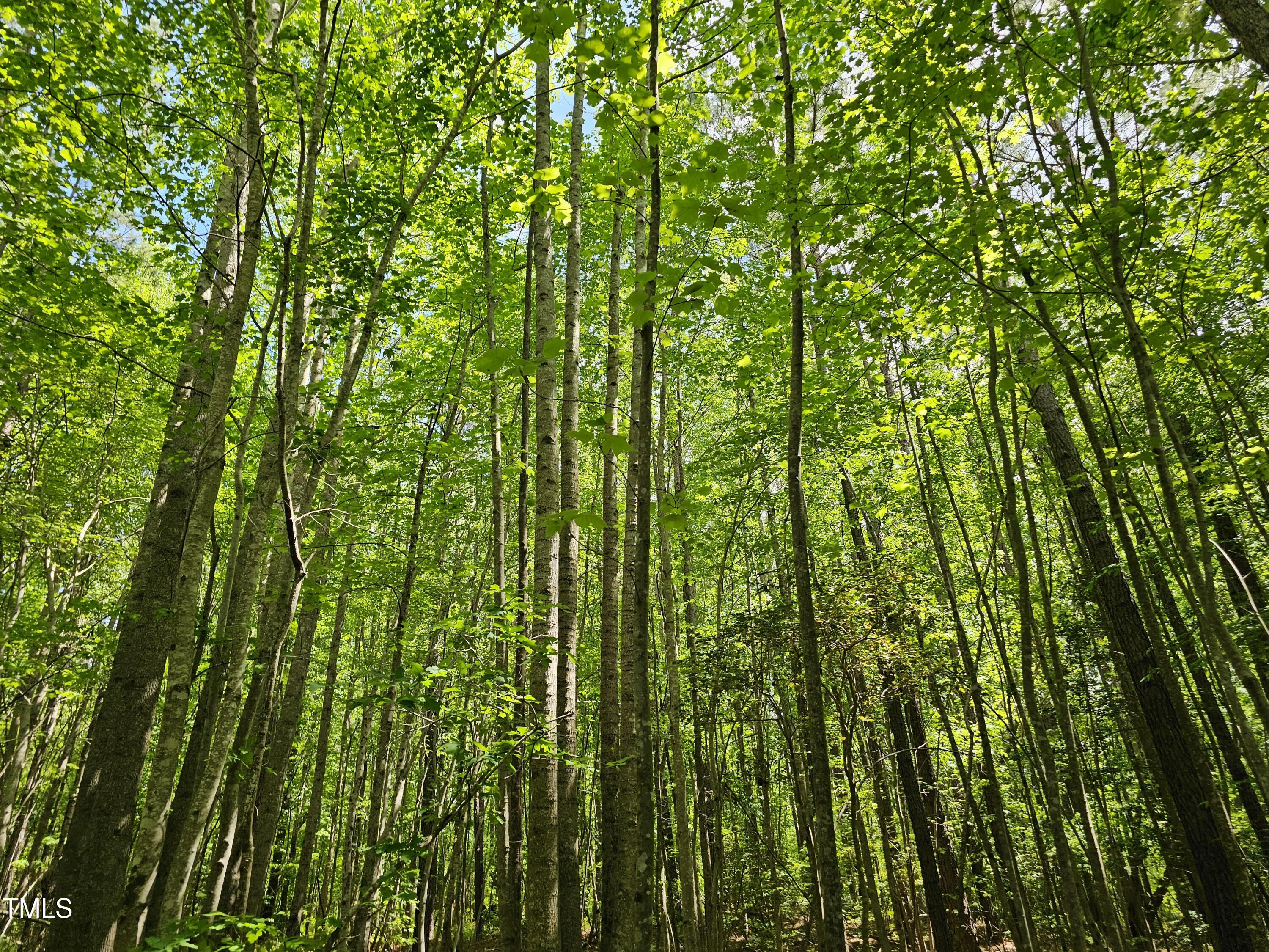 0 Alert Road Warrenton, NC 27589 - Photo 24 of 35 Alert Rd 14