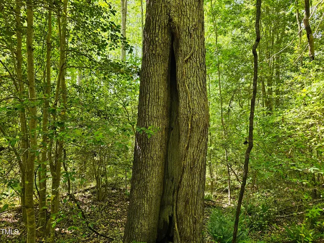 $300,000 | 0 Alert Road, Warrenton, NC 27589