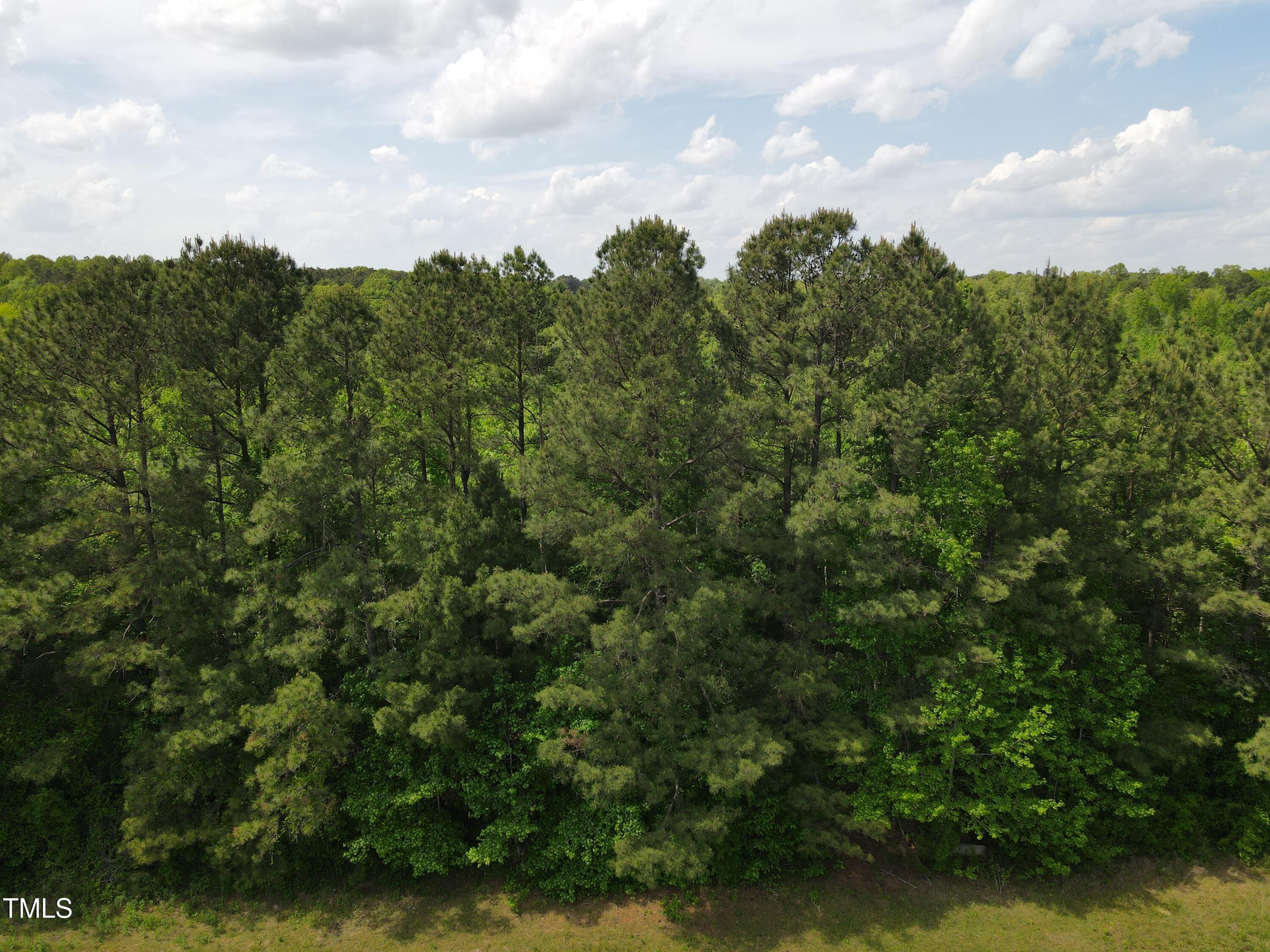 0 Alert Road Warrenton, NC 27589 - Photo 31 of 35 Alert Rd 21