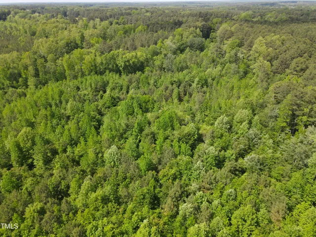 $300,000 | 0 Alert Road, Warrenton, NC 27589