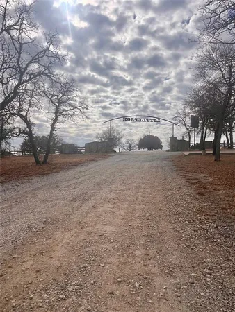 a view of dirt field with trees