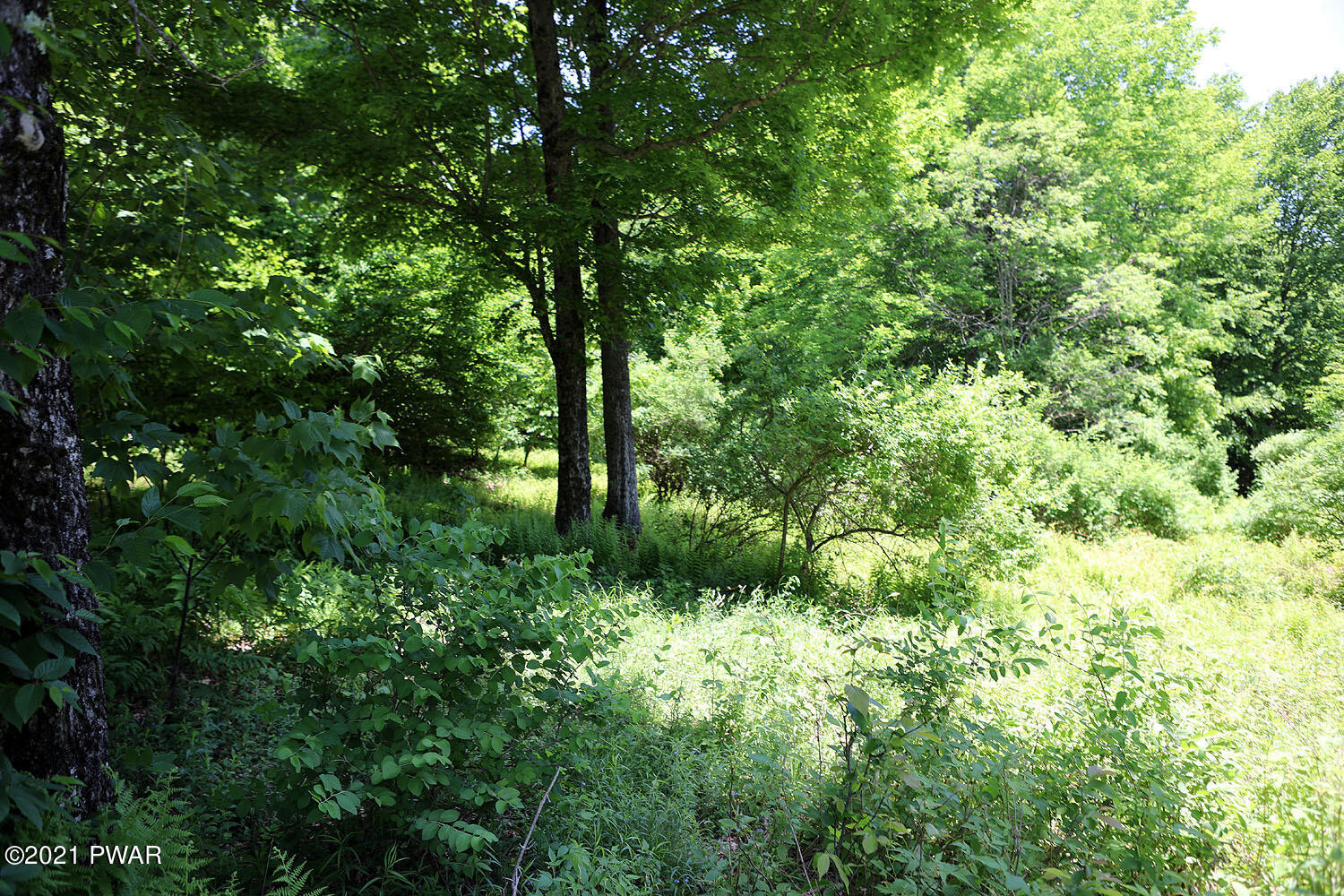 Lot 65 Stonegate Road Equinunk, PA 18417 - Photo 25 of 35 314A5262