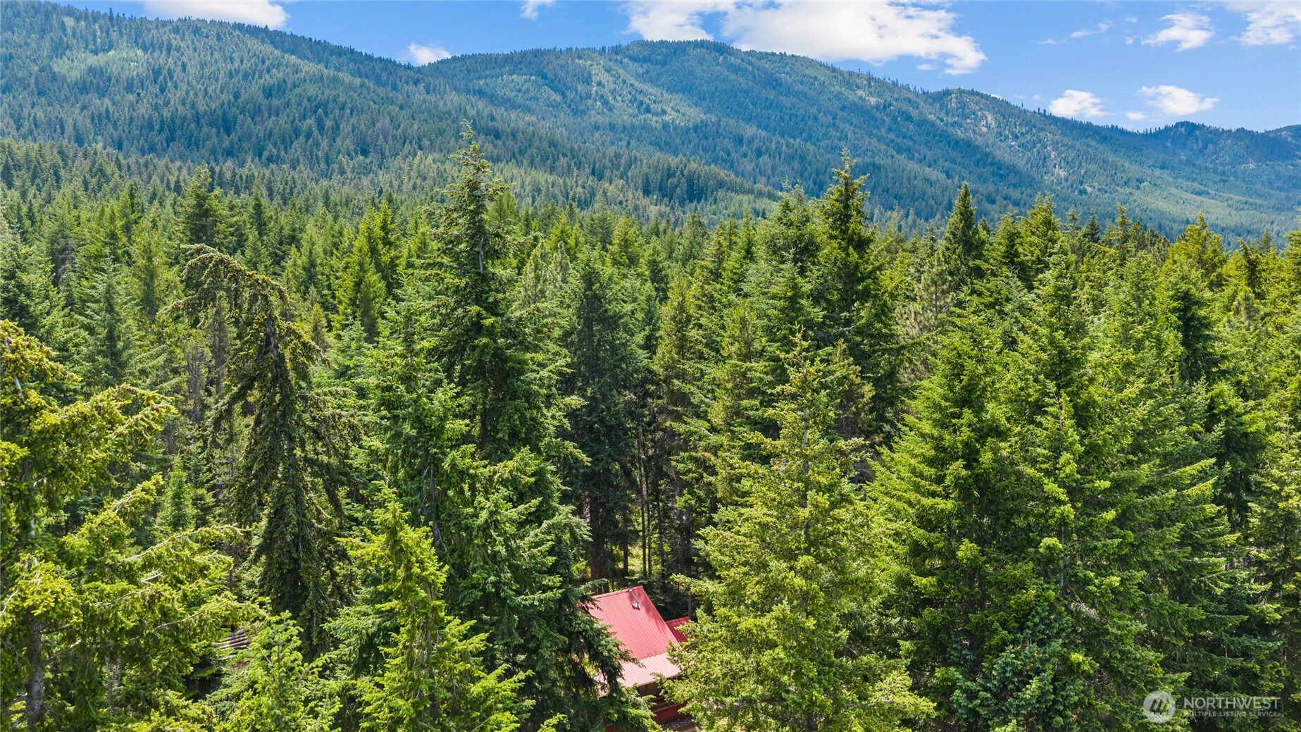 800 Timber Mountain Loop Cle Elum, WA 98922 - Photo 24 of 26