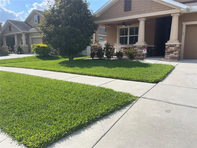 a view of a house with a back yard