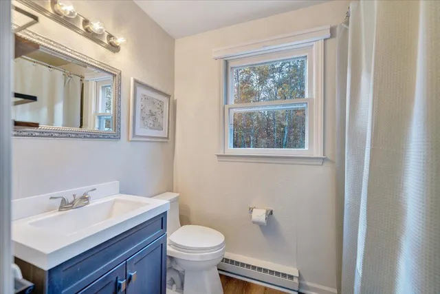 a view of a park with large trees