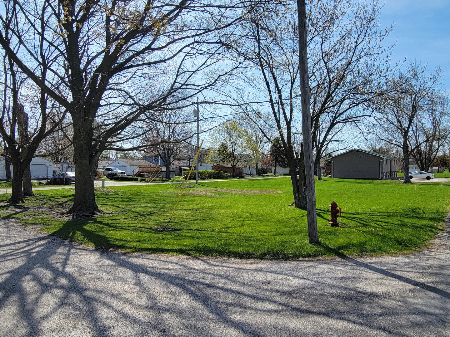 a huge green field with lots of trees