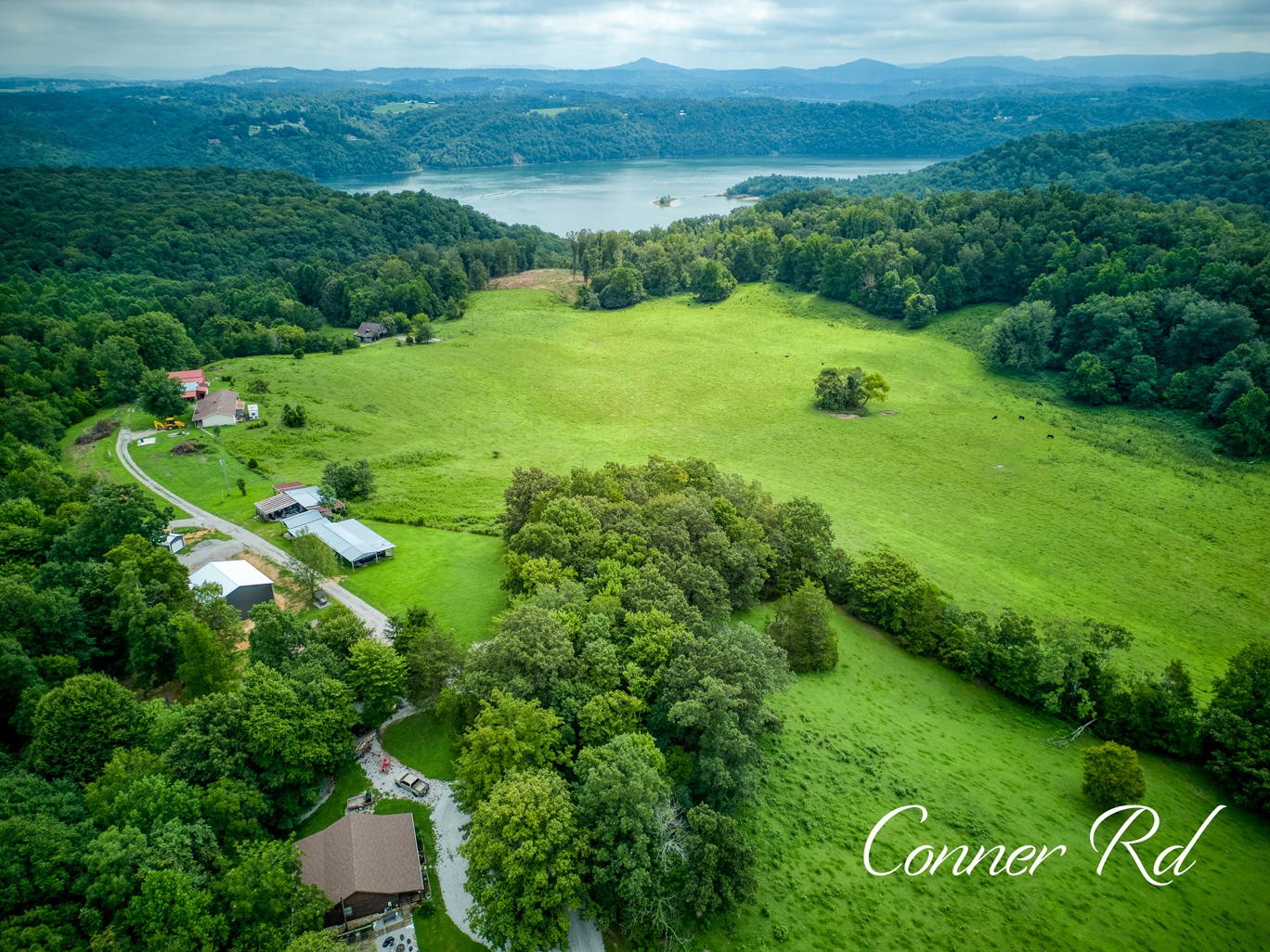 7263 Hook Ridge Road Monroe, TN 38573 - Photo 1 of 9 a view of a green yard with large trees