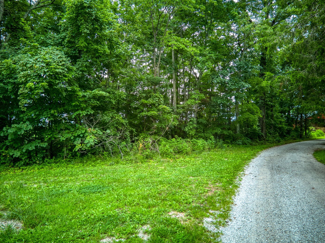 7263 Hook Ridge Road Monroe, TN 38573 - Photo 6 of 9 a view of a yard with a trees