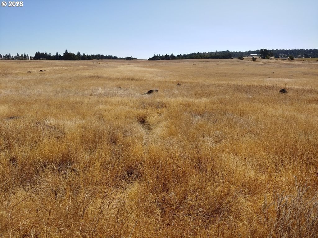 Patton Lane Goldendale, WA 98620 - Photo 2 of 4 Gallery Image 2