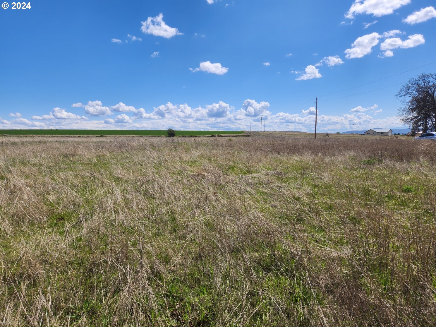 Patton Lane Goldendale, WA 98620 - Photo 4 of 4 Gallery Image 4