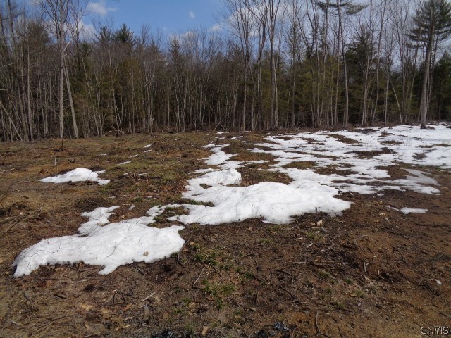 6763 Camp Road Watson, NY 13343 - Photo 1 of 1 Gallery Image 1