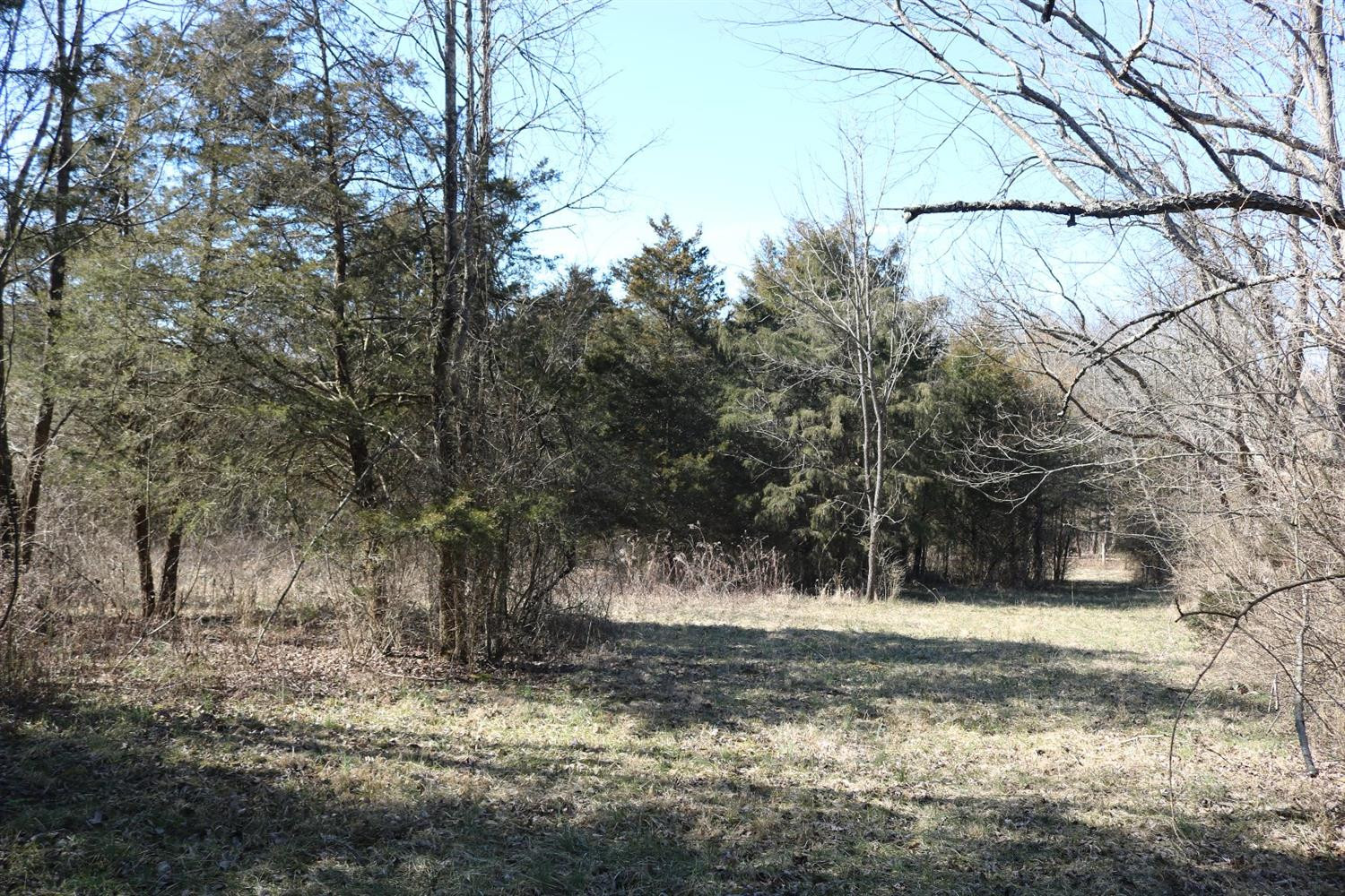 106 Walnut Grove Road Paris, KY 40361 - Photo 47 of 56 Photo 47