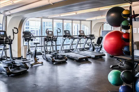 $230,000 | 300 North State Street, Unit 4625, Chicago, IL 60654