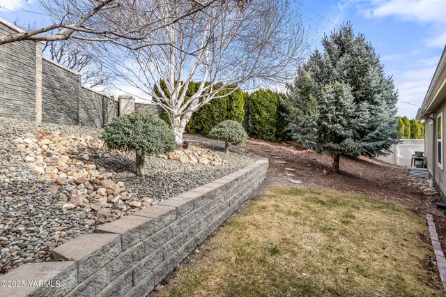 a view of a yard with plants