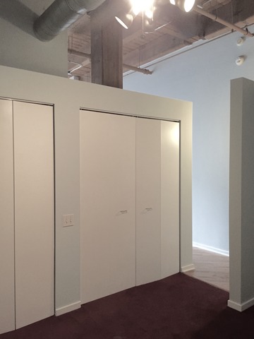 500 South Clinton Street, Unit 251 Chicago, IL 60607 - Photo 11 of 19