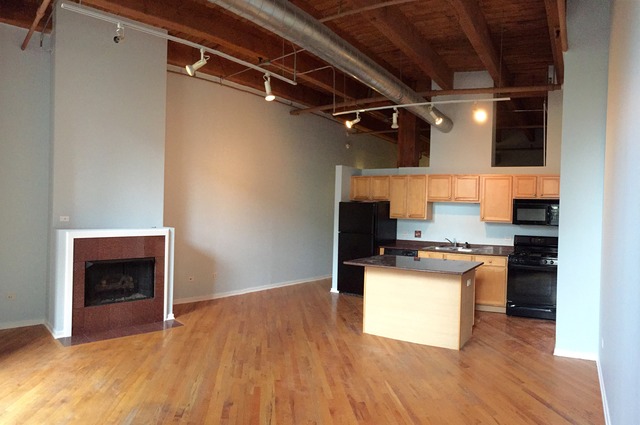 500 South Clinton Street, Unit 251 Chicago, IL 60607 - Photo 3 of 19