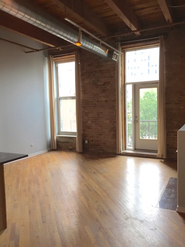 500 South Clinton Street, Unit 251 Chicago, IL 60607 - Photo 8 of 19