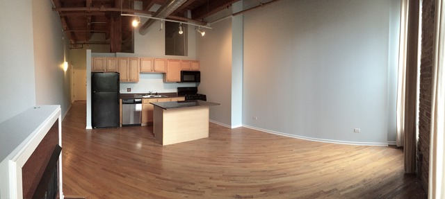 500 South Clinton Street, Unit 251 Chicago, IL 60607 - Photo 9 of 19