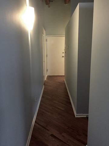 500 South Clinton Street, Unit 251 Chicago, IL 60607 - Photo 10 of 19