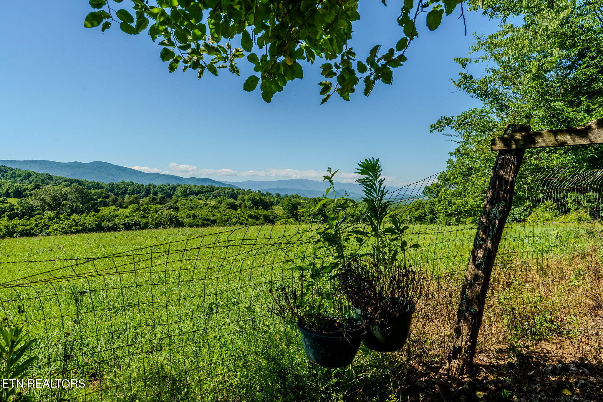 891 Tolley Hollow Road Newport, TN 37821 - Photo 34 of 40 35-web-or-mls-_DSC1693-HDR