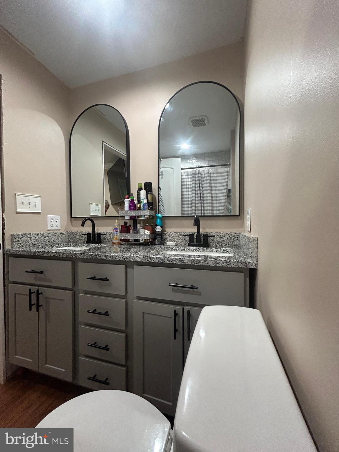 27002 Kaye Road Laurel, DE 19956 - Photo 39 of 64 double Sinks and Granite Sink Top